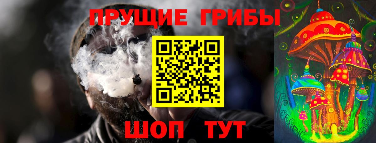 Псилоцибиновые грибы прущие грибы Ярославль